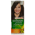 GARNIER Color (4)