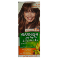 GARNIER Color (6.34)
