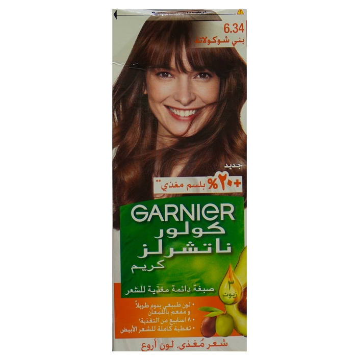 GARNIER Color (6.34)