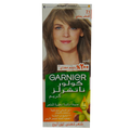 GARNIER Color (7.1)