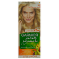 GARNIER Color (9.1)