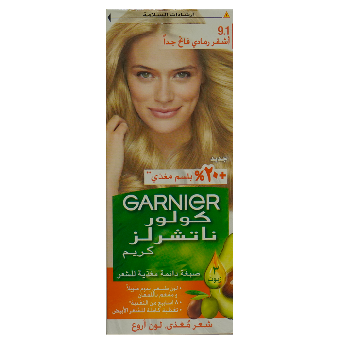 GARNIER Color (9.1)