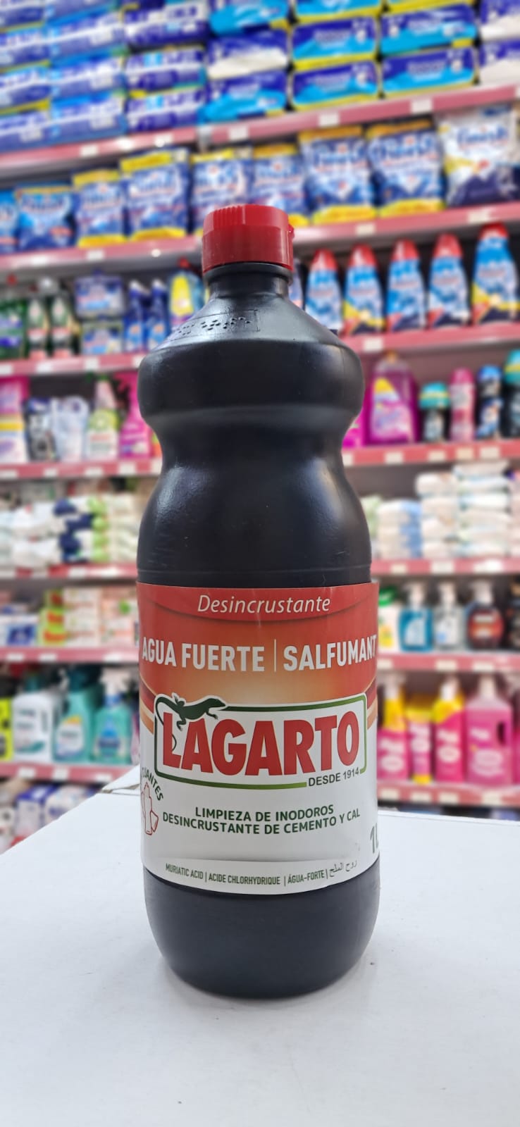 La garto sol