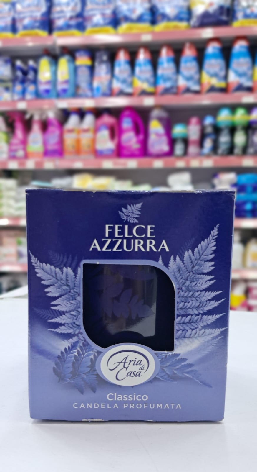 Felce azzurra boujie