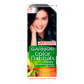 GARNIER Color (2.1)