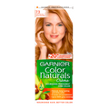 GARNIER Color  (7.3)