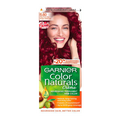 GARNIER Color (6.60)