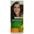 GARNIER Color (2)